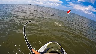 THIS is Why I Bought a FISHING JET SKI  TROPHY FISH LANDED [upl. by Ttergram645]