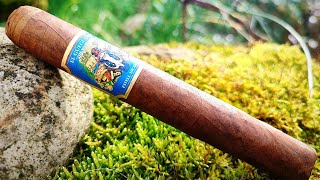 Foundation Cigars El Güegüense The Wise Man Robusto Ex Drew Estate  Zigarren Review [upl. by Enomahs421]