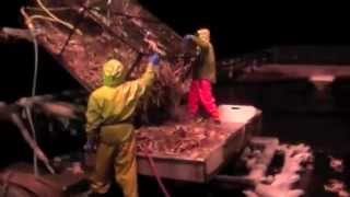 Bering Sea Opilio Crab Fishing [upl. by Burk]