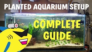 PLANTED AQUARIUM SETUP Complete Guide To A Soil Planted Tank [upl. by Vandyke498]