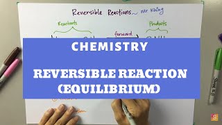 Chemistry  Reversible Reaction Equilibrium [upl. by Onnem]