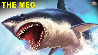 The Megalodon A Prehistoric Giant Shark That Ruled the Seven Seas [upl. by Estell]