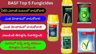 BASF Top 5 Fungicides  Acrisio  Cabrio top  Acrobat  Merivon  Polyram [upl. by Novets]