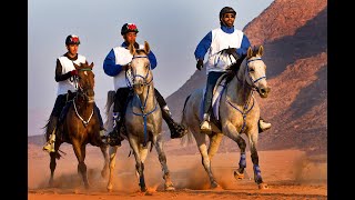 THE TOUGHEST HORSE RACE • THE UAE ENDURANCE CUP RACE [upl. by Nniuq]