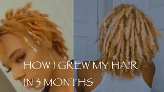 How I grew my locs FAST in 3 months  Goldey Locs [upl. by Milla851]