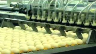 Midwest Poultry Services Egg Production and Packaging [upl. by Kirit640]