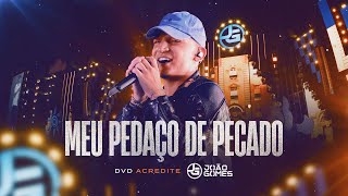 MEU PEDAÇO DE PECADO  João Gomes DVD Acredite  Ao Vivo em Recife [upl. by Tally926]