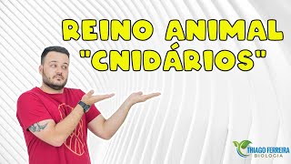 QUEM SÃƒO OS CNIDÃRIOS  CELENTERADOS AULA 03  ZOOLOGIA  PROFESSOR THIAGO FERREIRA [upl. by Gove]