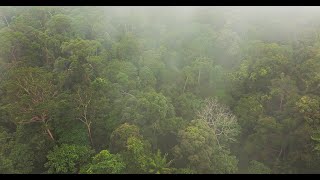 Gunung Pulai 蒲莱山  Kulai Johor Malaysia [upl. by Haberman]