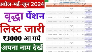 Vridha Pension List  How to Check Old Age Pension List  Vridha Pension list kaise dekhe [upl. by Atig926]