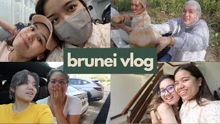 BRUNEI VLOG IS FINALLY HERE [upl. by Stratton]