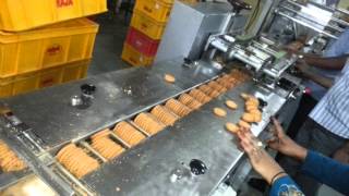 Biscuit Packing Machine [upl. by Eladal572]