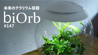 超大型テラリウム容器biOrbバイオーブ【商品レビュー】 147 [upl. by Adi]