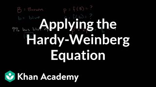 Applying the HardyWeinberg equation  Biomolecules  MCAT  Khan Academy [upl. by Dempsey]