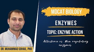 Mechanism of Enzyme Action  Allosteric vs Non Regulatory Enzymes [upl. by Marybella]