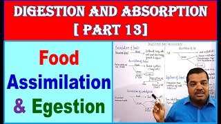 Food Assimilation and Egestion  Digestion and Absorption  NEET Bio  Part  13 [upl. by Anitsrhc]