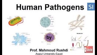 Human pathogens [upl. by Costello]