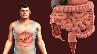 Epigastric Pain Causes And Treatment [upl. by Efrem220]