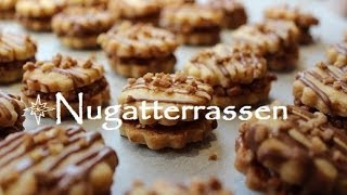 Plätzchen backen  ♥♥♥ Rezept Nugatterrassen ♥♥♥ [upl. by Nasho]