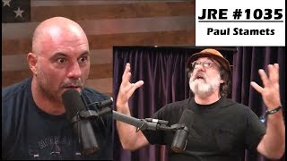 Paul Stamets describes his first Psilocybin Mushroom Trip  Joe Rogan Experience 1035 [upl. by Nivlem245]