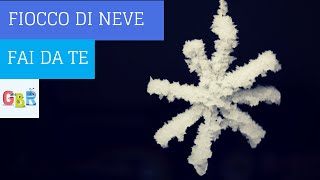 Esperimento di chimica con meno di 5 euro come fare neve finta in casa [upl. by Ehctav779]