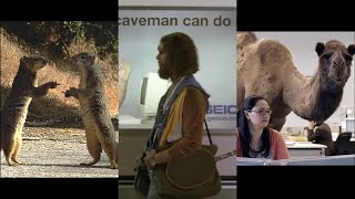 Memorable GEICO Commercials  Compilation [upl. by Morena307]