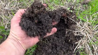 Regenerative Agriculture How We Improve Soil Quickly without Costly Equipment [upl. by Mlohsihc]