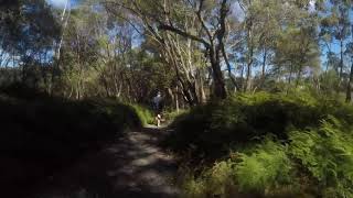 Nellies Glen Budderoo National Park NSW [upl. by Ym]