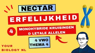 4 vwo  Erfelijkheid  4  Monohybride kruisingen amp Letale allelen [upl. by Valenta]