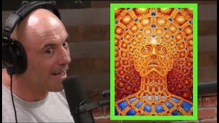 Joe Rogans DMT Experiences [upl. by Riggall]