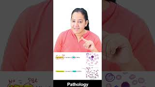 1 minute learning Anisocytosis and Poikilocytosis [upl. by Wilow]