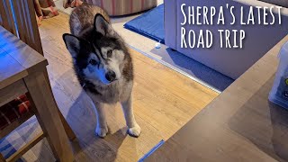 Sherpas Latest Road Trip Starts Here and Now [upl. by Isabella]