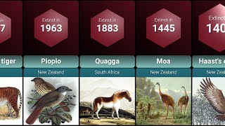 Extinct Animals Lost to History Due to Human Activity [upl. by Dilisio]