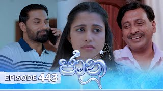 Jaanu  Episode 443  20241105  ITN [upl. by Adiaroz]