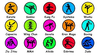 Every Martial Art Type Explained in 12 Minutes [upl. by Asena88]