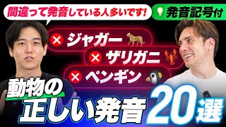 【初級者必見】間違いやすい動物の英語名20選｜発音記号で分析米英 [upl. by Ney771]