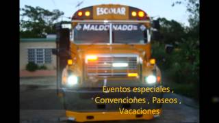 Maldonado Bus Line Tel 7873727398 [upl. by Sudnac]