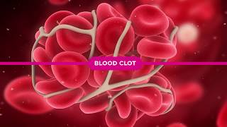 Coagulation Cascade Explained [upl. by Sevart294]