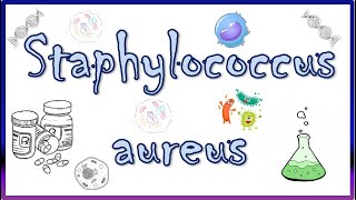 Staphylococcus aureus  Diseases Clinical Presentation Virulence Factors Diagnosis amp Treatment [upl. by Atina186]