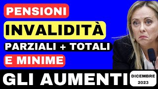 ⚠️PENSIONI DI INVALIDITÀ E MINIME ➡ TUTTI GLI AUMENTI DI DICEMBRE SPIEGATI IN DETTAGLIO [upl. by Clarise656]