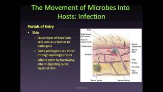 Reservoirs amp Infection [upl. by Jeromy437]