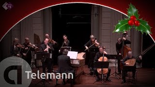 Telemann Oboe Concerto TWV 51f1  Combattimento  Live concert HD [upl. by Azile]