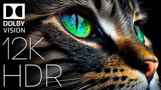 WORLD OF ANIMALS IN DOLBY VISION™  HDR 12K 60FPS TRUE CINEMATIC [upl. by Bor]