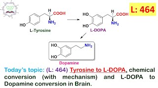 L 464Tyrosine to LDOPA mechanism amp LDOPA to Dopamine conversion in Brain by Dr Tanmoy Biswas [upl. by Hiller]