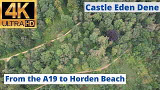 Castle Eden Dene National Nature Reserve A19 to Horden Beach 4K [upl. by Ainotal]