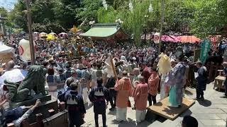 Asakusa Japan 町会神輿連合渡御 令和6年浅草神社例大祭三社祭 [upl. by Eniretak]