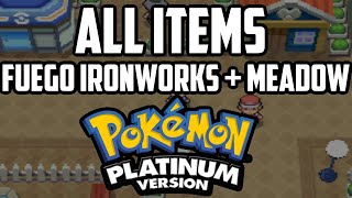 EVERY Item in Fuego Ironworks amp Floaroma Meadow  Pokémon Platinum [upl. by Baskett230]