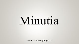 How To Say Minutia [upl. by Carisa99]