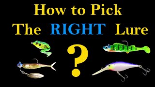 How to Pick the Right Fishing Lure Best Way to Catch a Fish [upl. by Sarnoff]