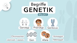 Genetik Begriffe einfach erklärt  MedAT  Biologie [upl. by Inglis776]